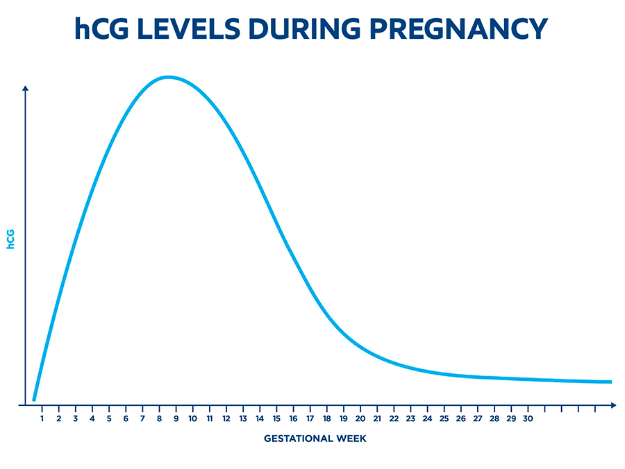 What Is HCG HCG Levels By Week clearblue