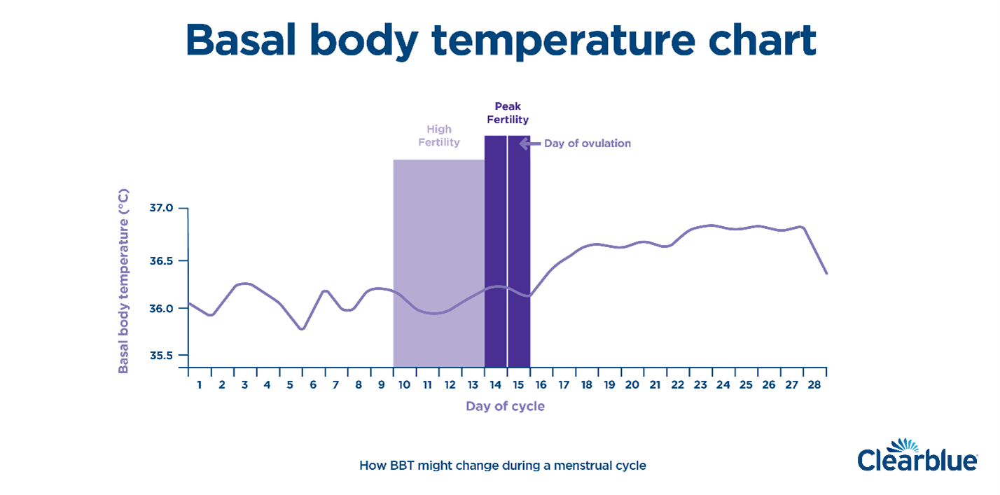Body Temperature Ovulation Chart