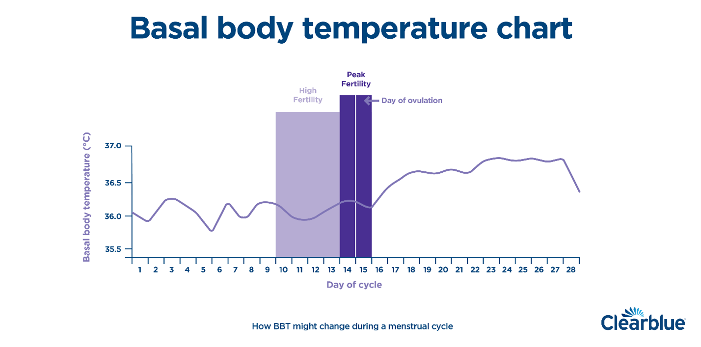 Basal Body Temperature Definition And Charts 2022 