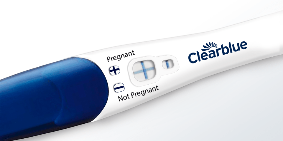 pregnant with negative test