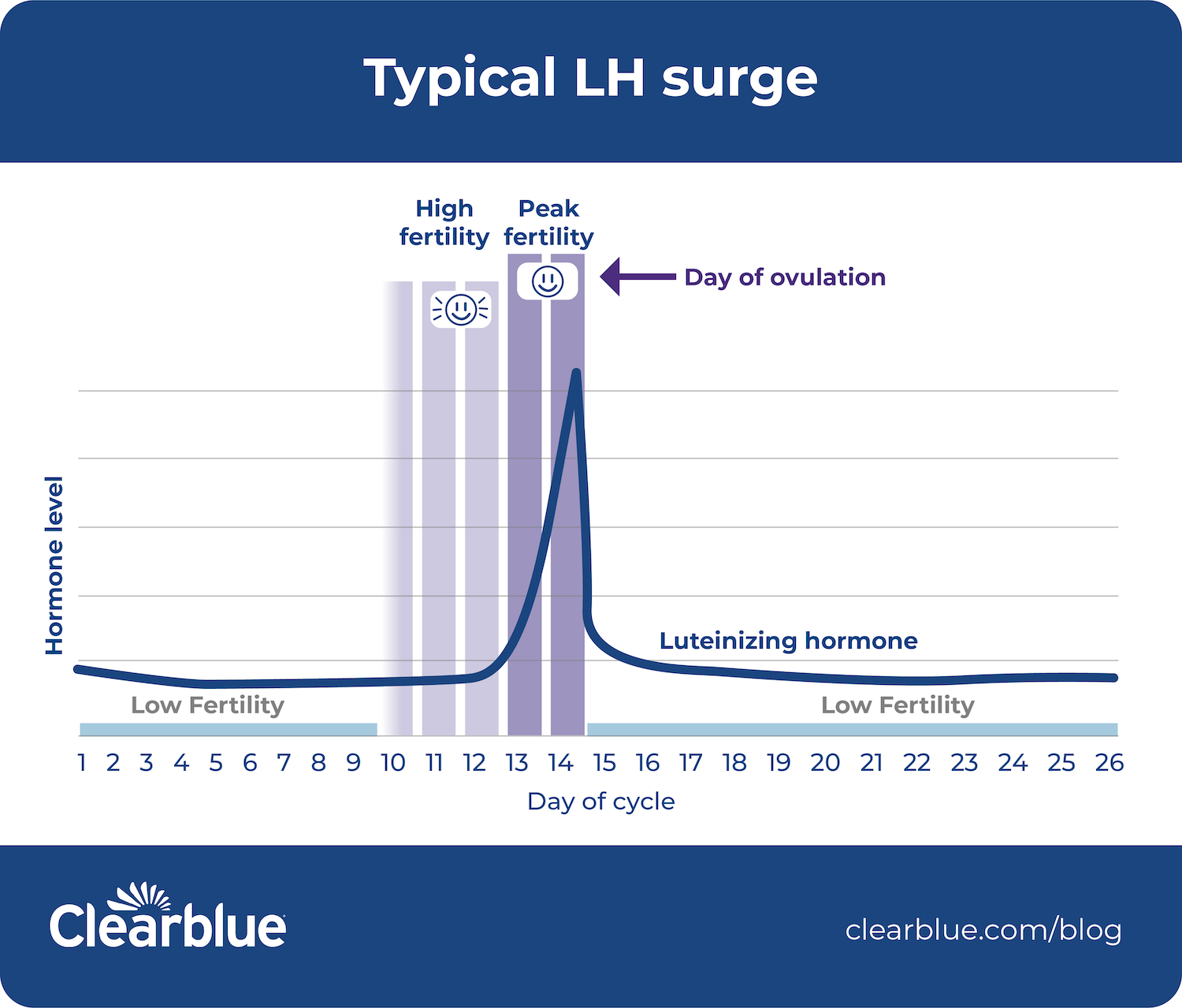 What is luteinizing hormone? — Clearblue®
