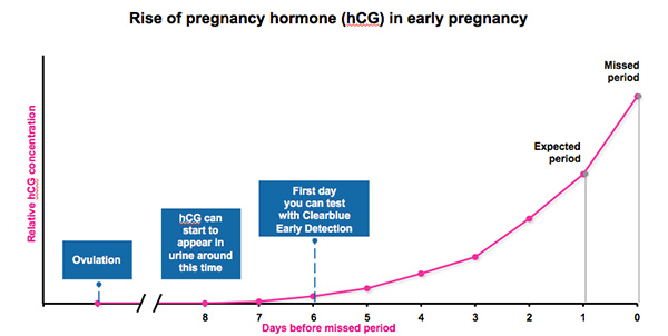 When Are You Most Fertile and Likely to Get Pregnant?