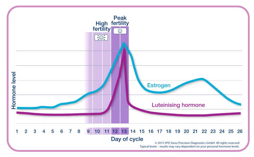 Know Your Most Fertile Days & Get Pregnant Faster l How To Get Pregnant  Fast l Process Of Ovulation 