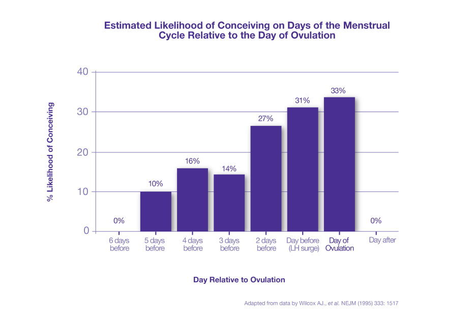 When is a Woman Most Fertile?  Menstrual cycle fertility