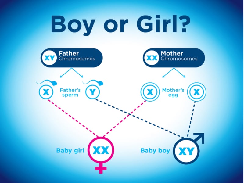 How to Tell If You're Having a Girl or Boy - New Parent