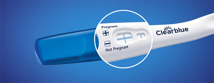 Clearblue Rapid Detection Pregnancy Test 2 Pack – Medipharm Online