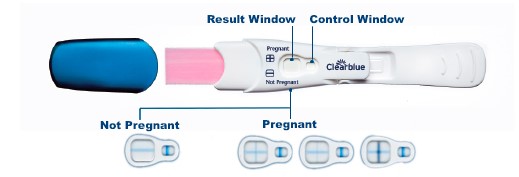 Clearblue Flip & Click Pregnancy Test