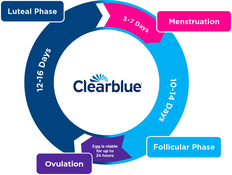 Why you Should Start Tracking your Period — Clearblue®